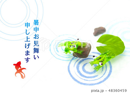 サマーカード 48360459