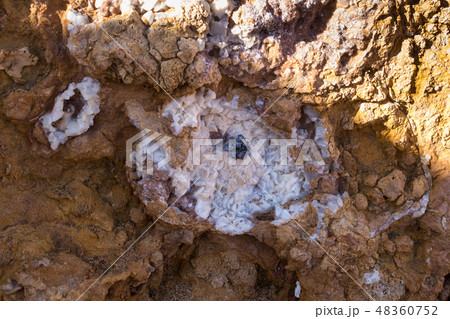 Detail of the salt crystals on the rock Detail of the salt crystals on the rock 48360752