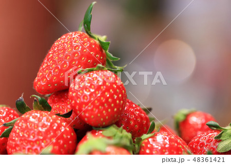 いちご イメージ 48361421