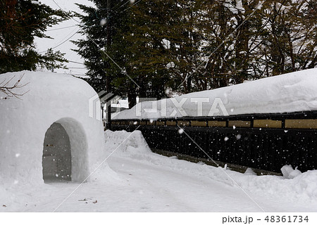 横手のかまくら 横手のかまくら 48361734
