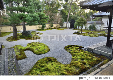廬山寺 源氏庭 京都 廬山寺 源氏庭 京都 48361864