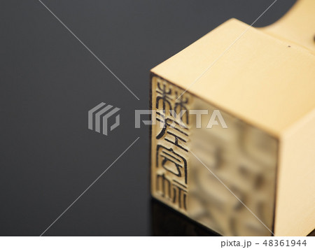 株式会社の角印 株式会社の角印 48361944