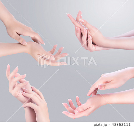 女性 メス 女の人 48362111