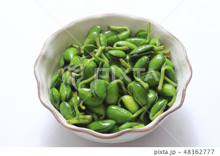 《沖縄県産》　大豆若葉（ビーンリーフ）のナムル 48362777