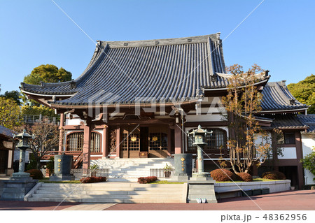 横浜・本覚寺 横浜・本覚寺 48362956