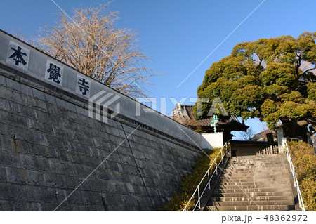 横浜・本覚寺 48362972