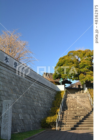横浜・本覚寺 横浜・本覚寺 48362975