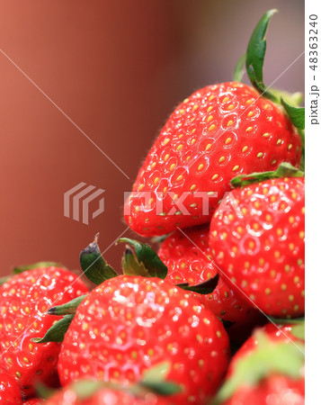 いちご イメージ 48363240