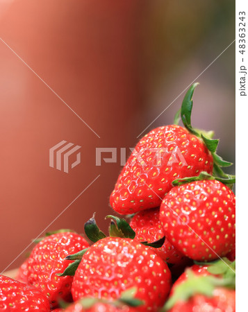 いちご イメージ いちご イメージ 48363243
