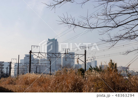 横浜の貨物線 48363294