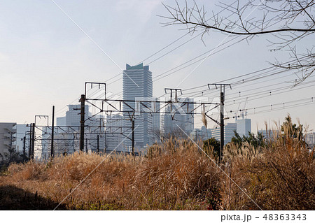 横浜の貨物線 横浜の貨物線 48363343