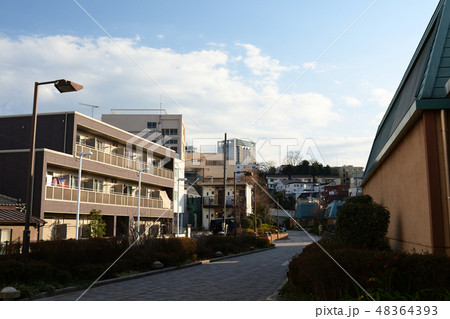 横浜・東横フラワー緑道 48364393