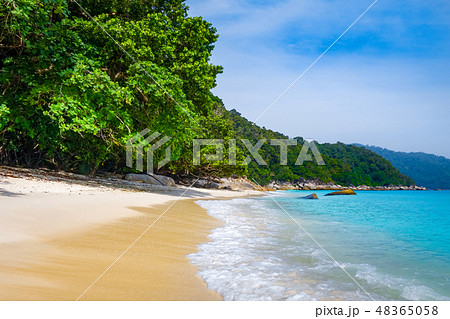 Turtle Beach, Perhentian Islands, Malaysia Turtle Beach, Perhentian Islands, Malaysia 48365058