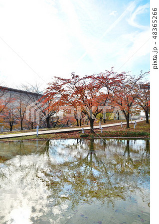 りゅーとぴあ空中庭園の紅葉(新潟県) りゅーとぴあ空中庭園の紅葉(新潟県) 48365266