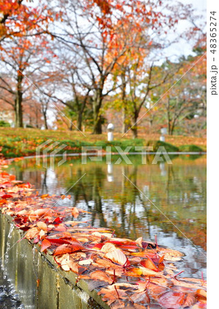 りゅーとぴあ空中庭園の紅葉（新潟県） 48365274