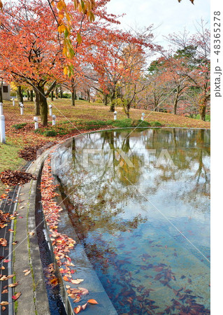 りゅーとぴあ空中庭園の紅葉(新潟県) りゅーとぴあ空中庭園の紅葉(新潟県) 48365278