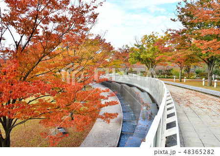りゅーとぴあ空中庭園の紅葉（新潟県） 48365282