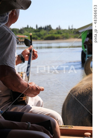 西表島から由布島へ向かう水牛車　三線を聴かせてくれている方 48366653