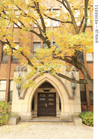 東京大学本郷キャンパスの紅葉 東京大学本郷キャンパスの紅葉 48366951