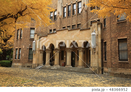 東京大学本郷キャンパスの紅葉 48366952