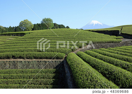 富士山 富士山 48369686