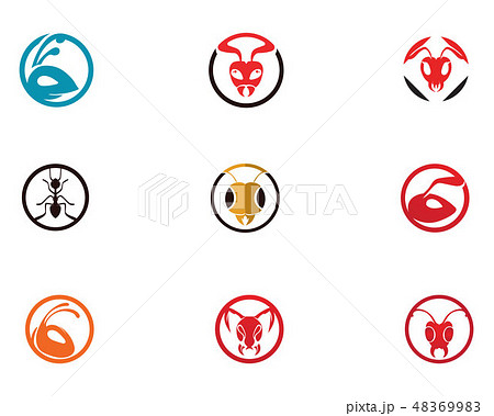 Ant head Logo template vector illustration 48369983