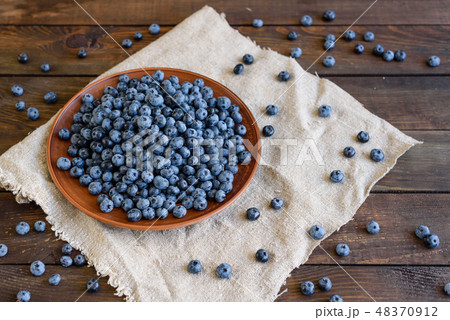 Fresh berries of blueberry on a plate Fresh berries of blueberry on a plate 48370912
