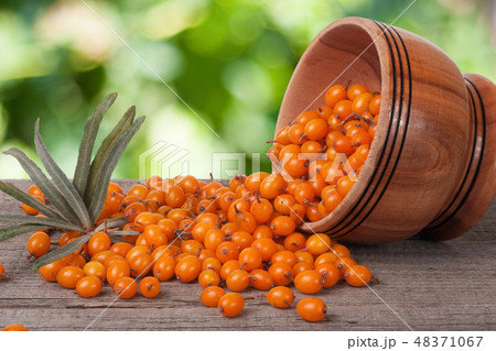 Sea-buckthorn berries in a wooden bowl on table with blurred garden background 48371067