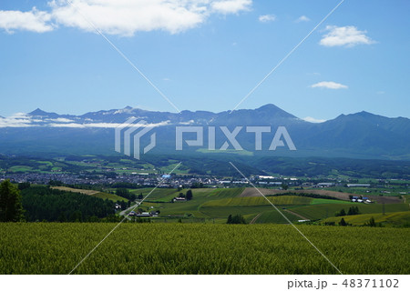 千望峠からの眺望 千望峠からの眺望 48371102