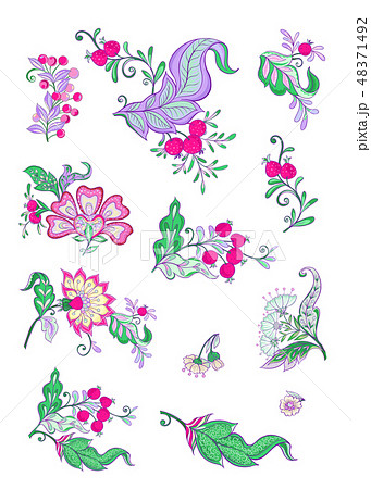 Floral decorative elements Floral decorative elements 48371492