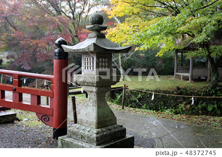 秋の丹生都比売神社 48372745