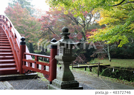 秋の丹生都比売神社 48372746