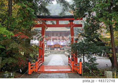 秋の丹生都比売神社 48372748