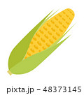 とうもろこし 48373145