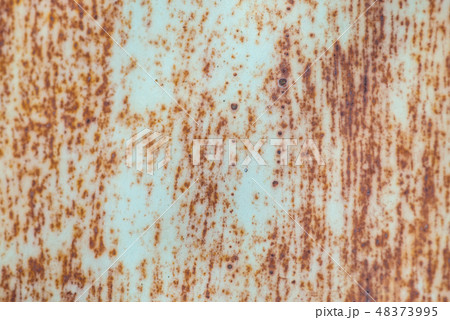 Metallic rust dirty and old texture background. Selective focus macro shot with shallow DOF 48373995