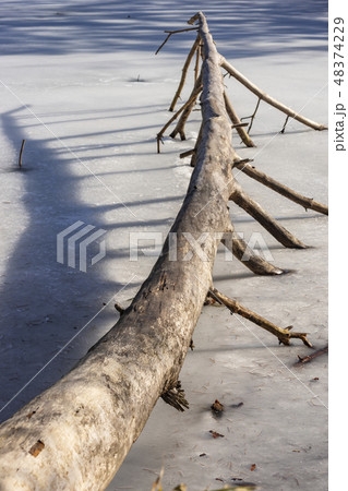 氷結の湖畔M55 48374229