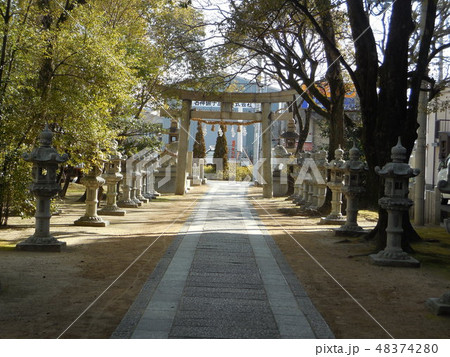利倉春日神社 48374280