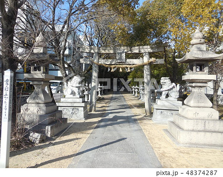 利倉春日神社 利倉春日神社 48374287