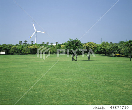 木 如美地植物園 西帰浦市 48374710