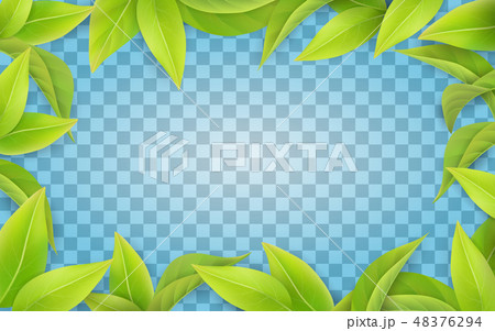 Green leaves frame on transparent background. 48376294