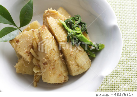 筍の土佐煮24 48376317