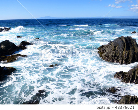 荒崎海岸 48376621