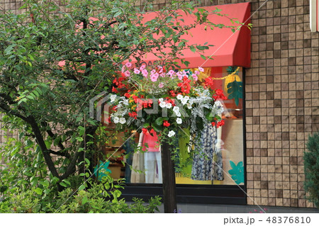 盛岡のフラワーロード(大通り) 48376810