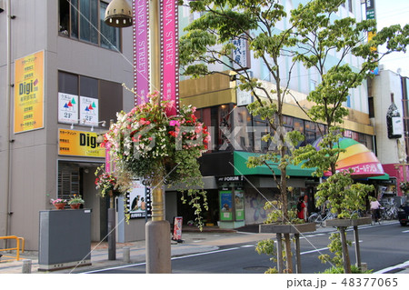 盛岡のフラワーロード(映画館通り) 48377065