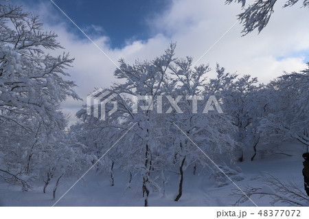 霧氷と青空 霧氷と青空 48377072
