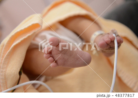 NICU 赤ちゃん 48377817