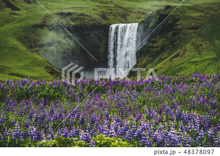 Skogafoss Waterfall in Iceland in Summer. Skogafoss Waterfall in Iceland in Summer. 48378097