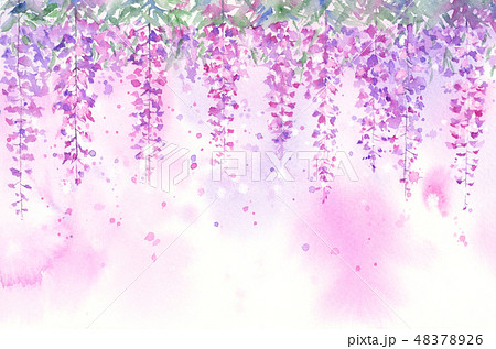 透明水彩で描く藤の花のイラスト素材 4726