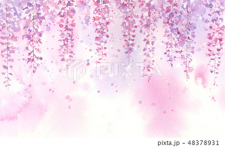 透明水彩で描く藤の花のイラスト素材 4731