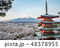 富士と桜と五重の塔 48378955